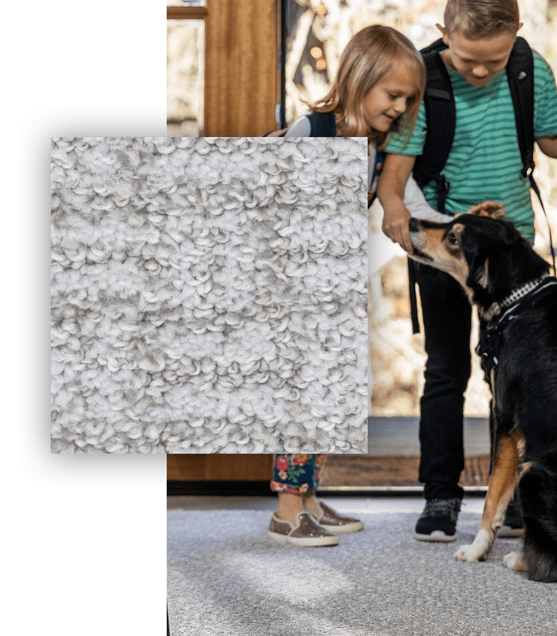 petprotection_image petprotection_image