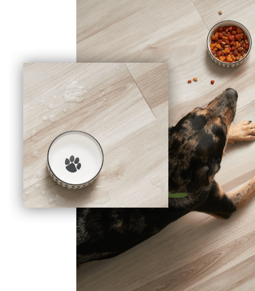 vinyl_durable vinyl_durable