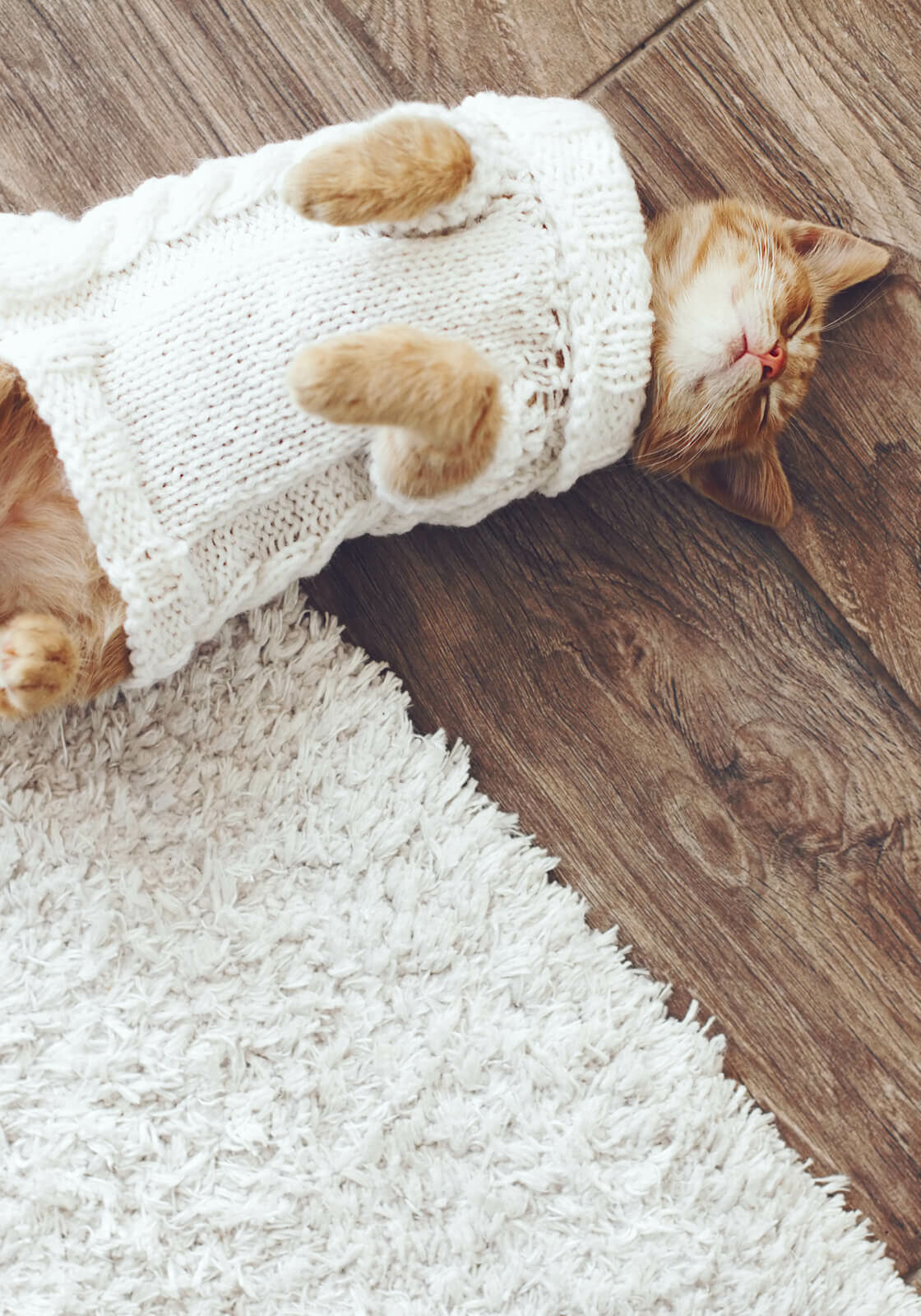 hardwood_1600x1600 Pet friendly carpet | Metro Flooring Contractors