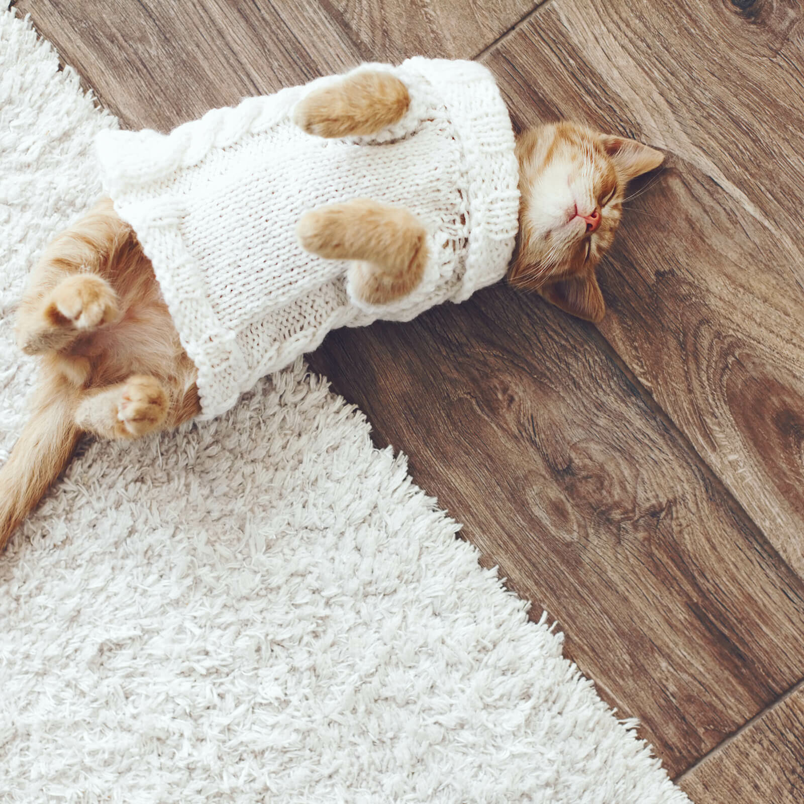 hardwood_1600x1600 Pet friendly carpet | Metro Flooring Contractors